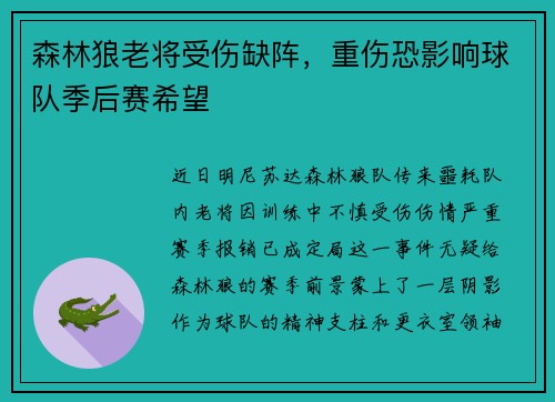 森林狼老将受伤缺阵，重伤恐影响球队季后赛希望