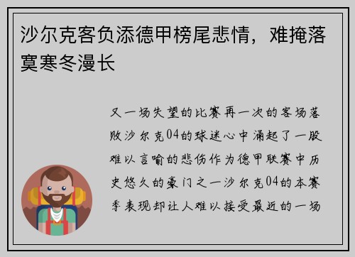 沙尔克客负添德甲榜尾悲情，难掩落寞寒冬漫长