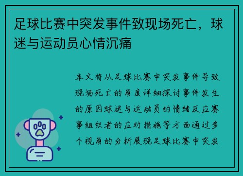 足球比赛中突发事件致现场死亡，球迷与运动员心情沉痛